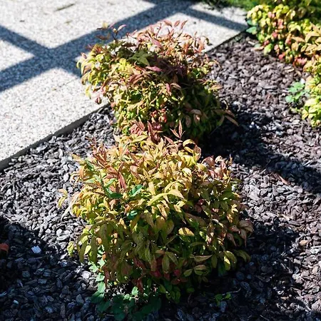 Casa Nina Appartement Oporto