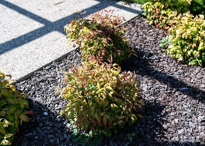 Casa Nina Apartman Porto